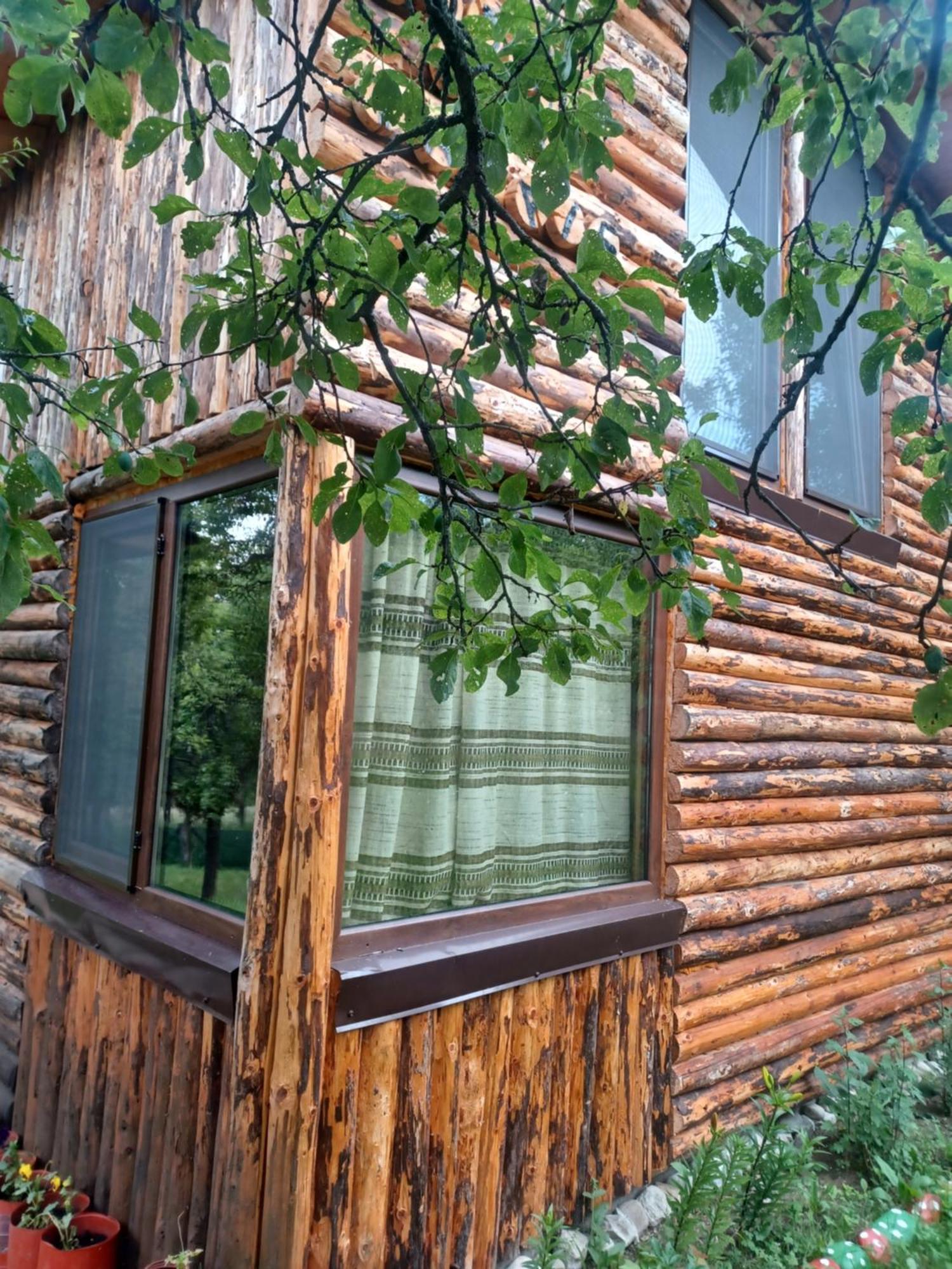 Hotel Casa Sara Nucsoara Exteriér fotografie