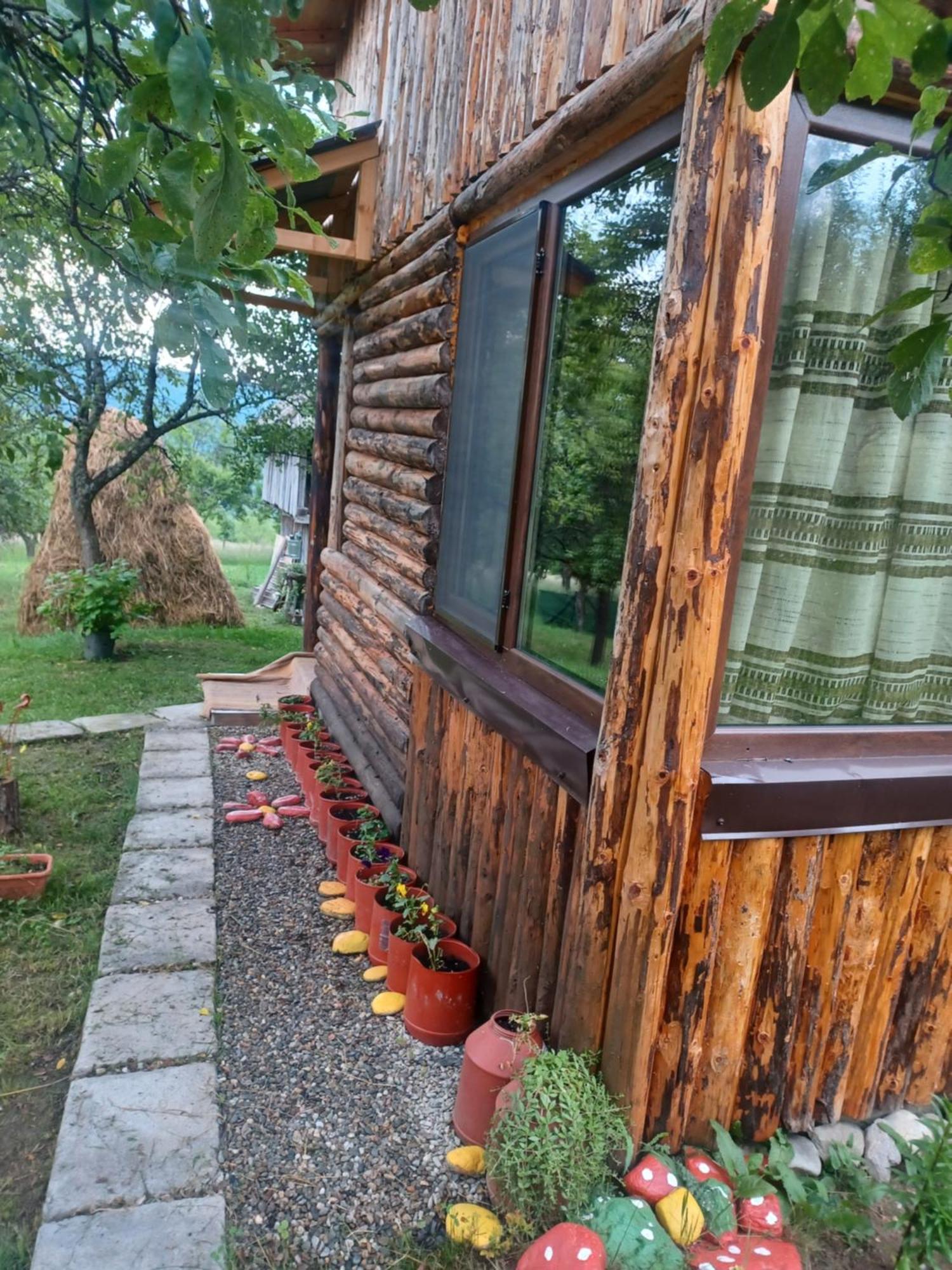 Hotel Casa Sara Nucsoara Exteriér fotografie