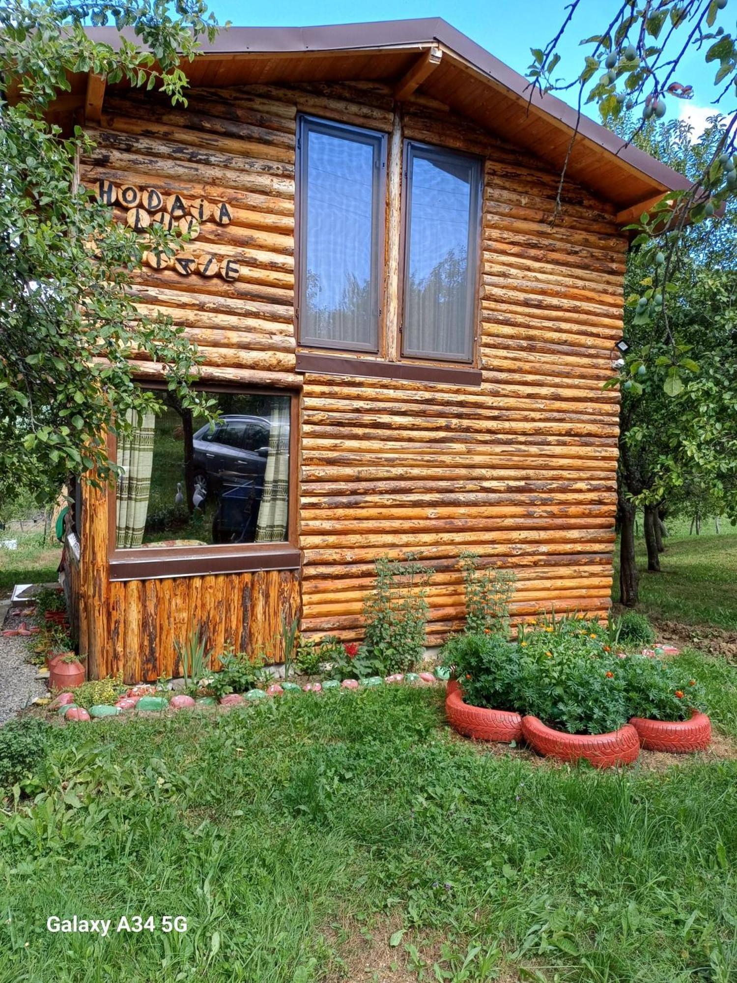 Hotel Casa Sara Nucsoara Exteriér fotografie